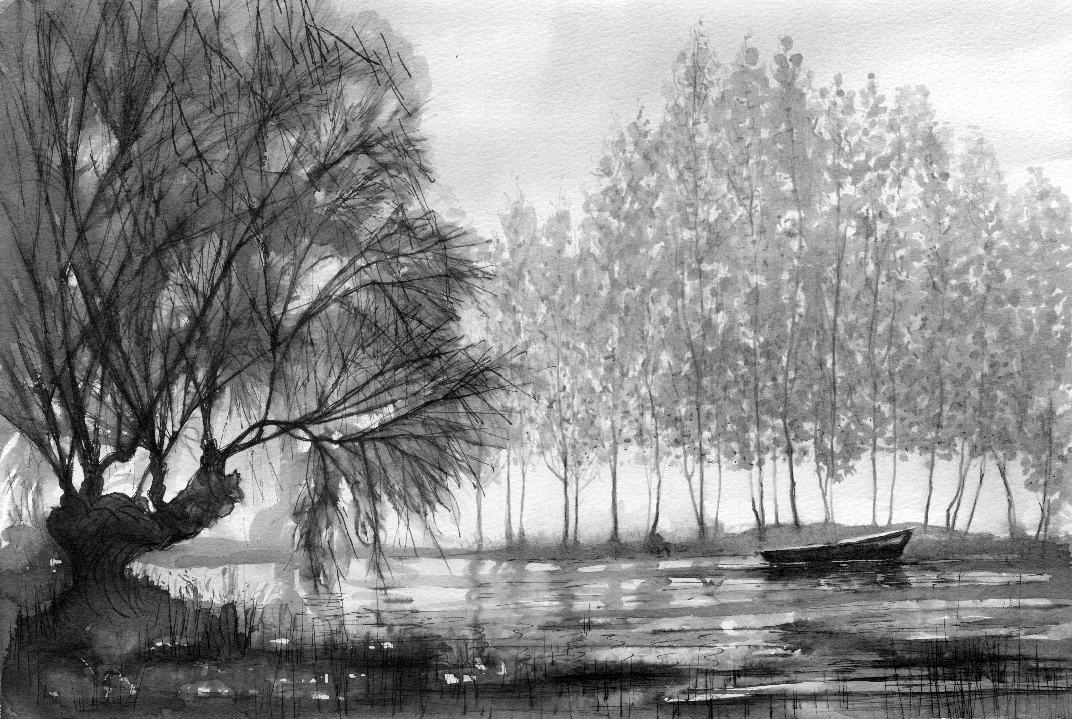 Drawing Trees 1: in charcoal or ink, or a combination