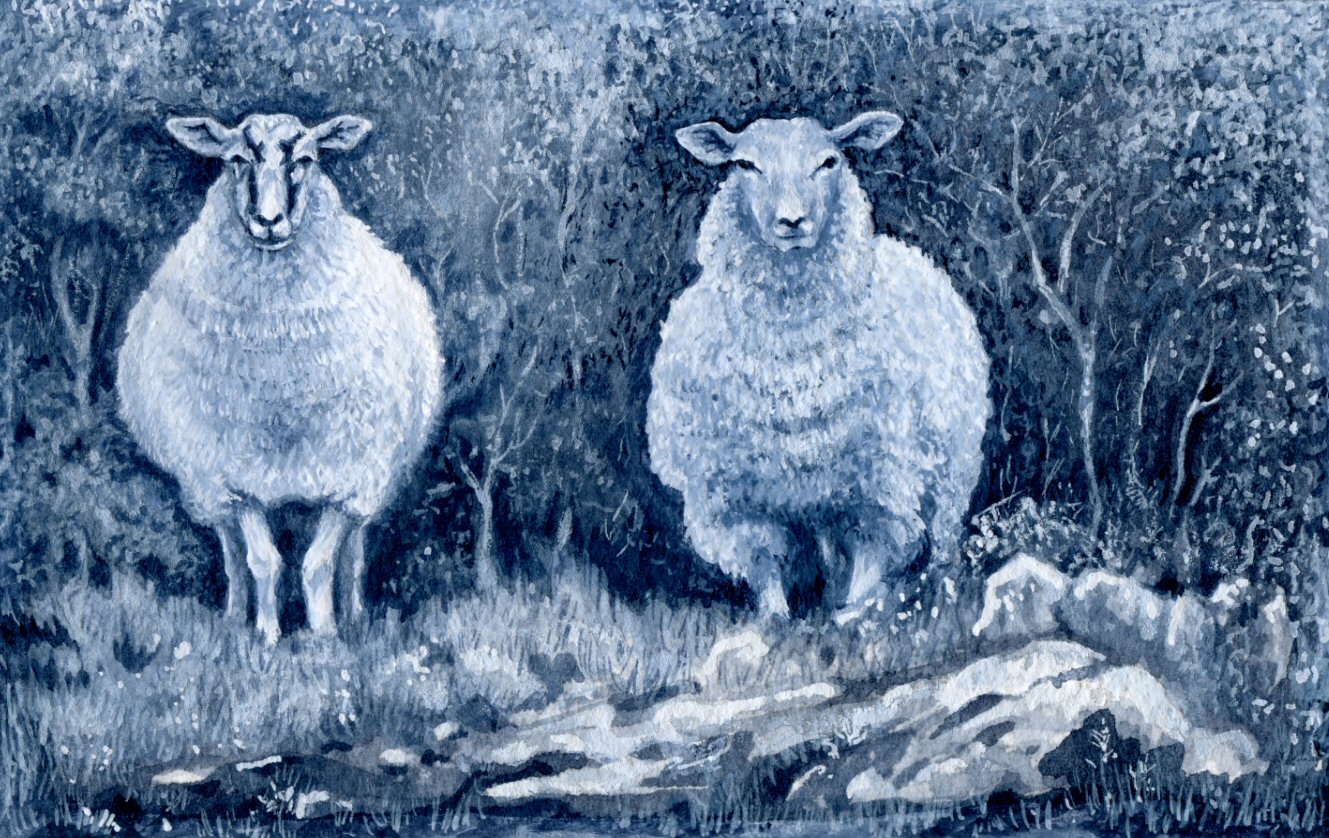 Drawing Animals: Sheep, Cows and Pets