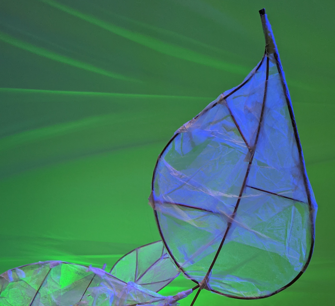 Camp Out! - Sensory Chill Out space