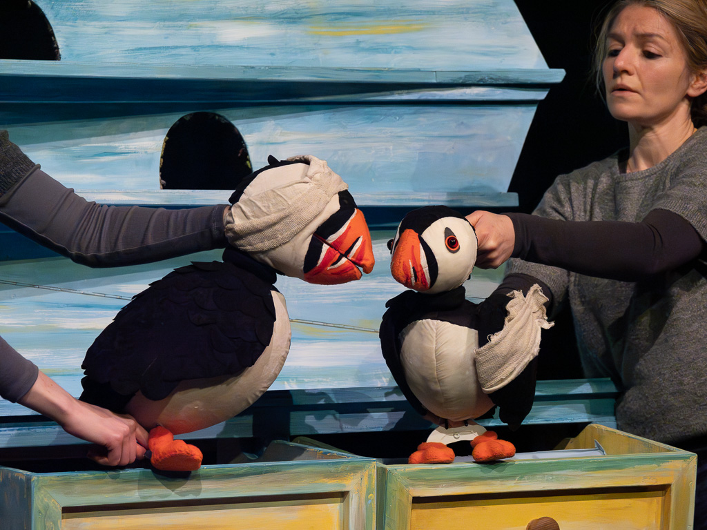 Puffling Percy