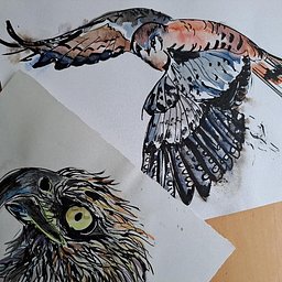 Studio Art Sessions 