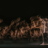 The Royal Ballet: Woolf Works