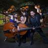 Graffiti Classics - The Comedy String Quartet