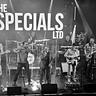 The Specials Ltd