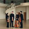 Novo String Quartet