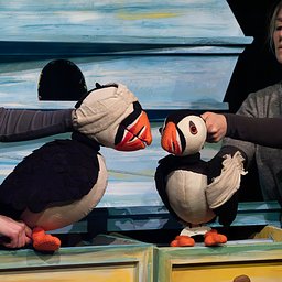 Puffling Percy