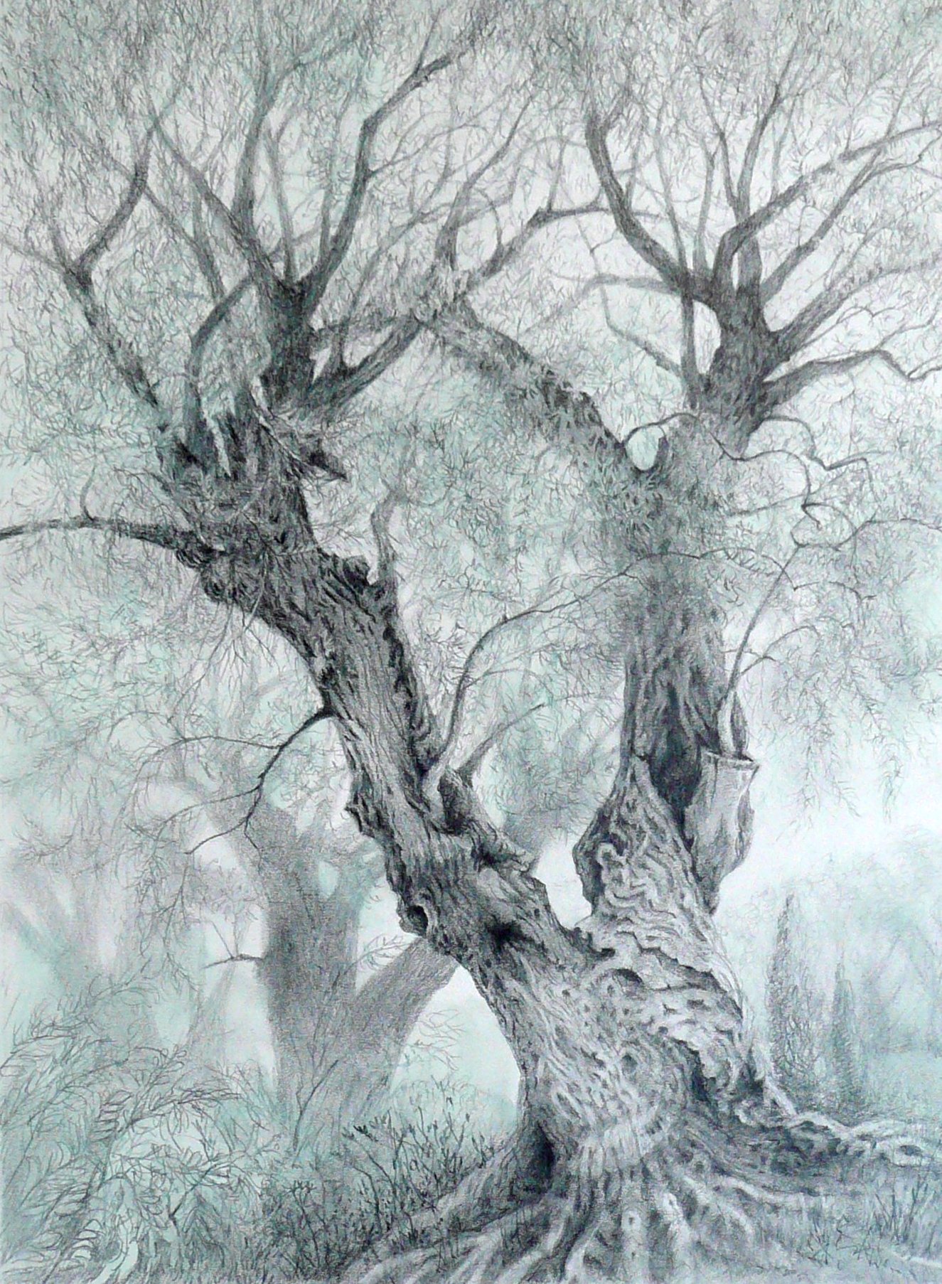 Drawing Trees : Norden Farm Centre for the Arts - Theatre ...
